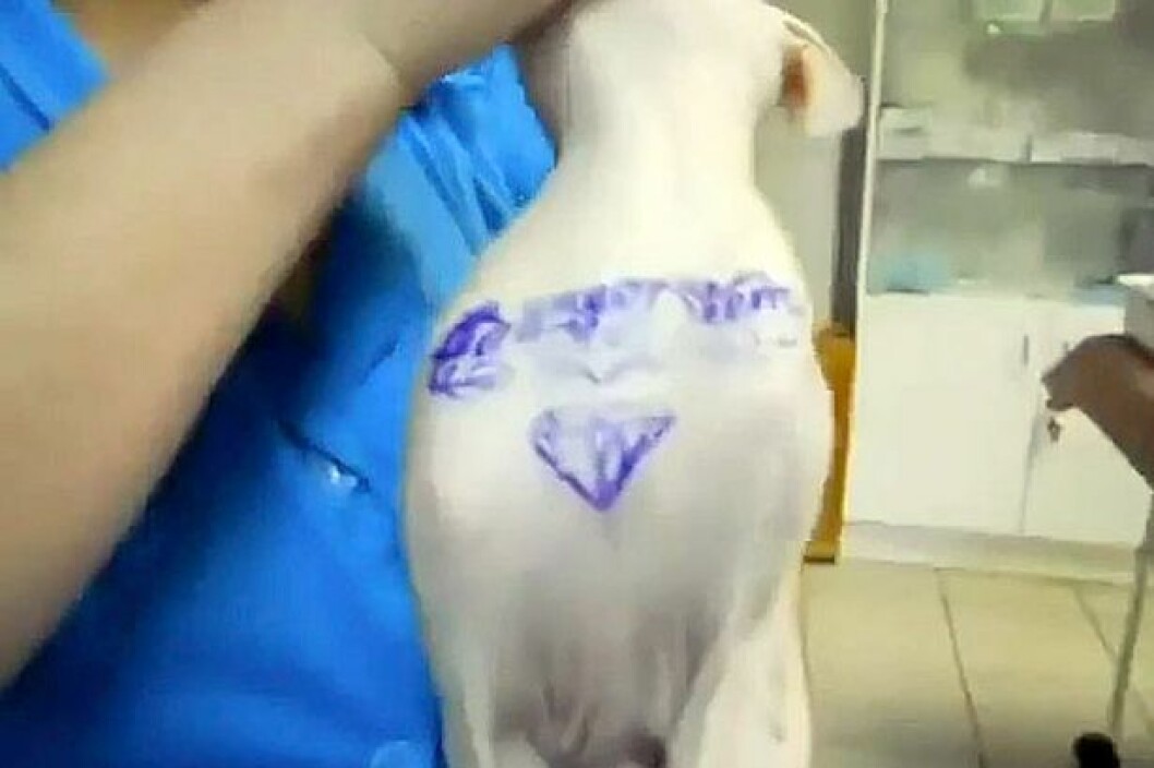 Via: <a href="https://www.youtube.com/" target="_blank">youtube.com</a> Via: youtube.com