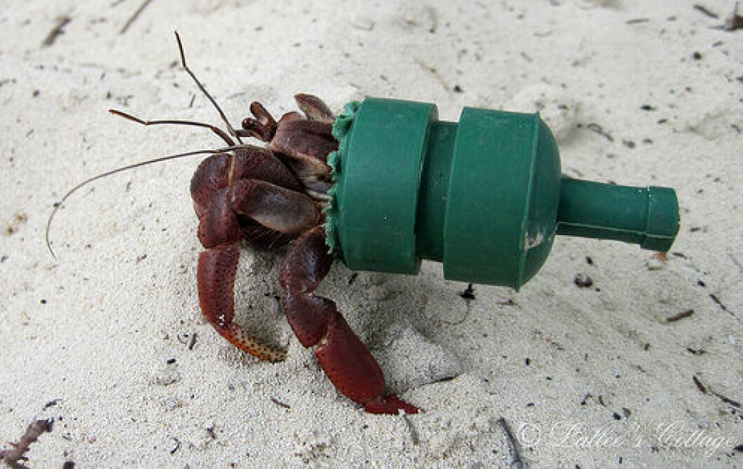 Miljöförstöringen visar sitt tydliga ansikte. Foto: <a href="http://bestfunlive.com/wp-content/uploads/Green-Plastic.jpg" target="_blank">Bestfunlive</a> Foto: Bestfunlive