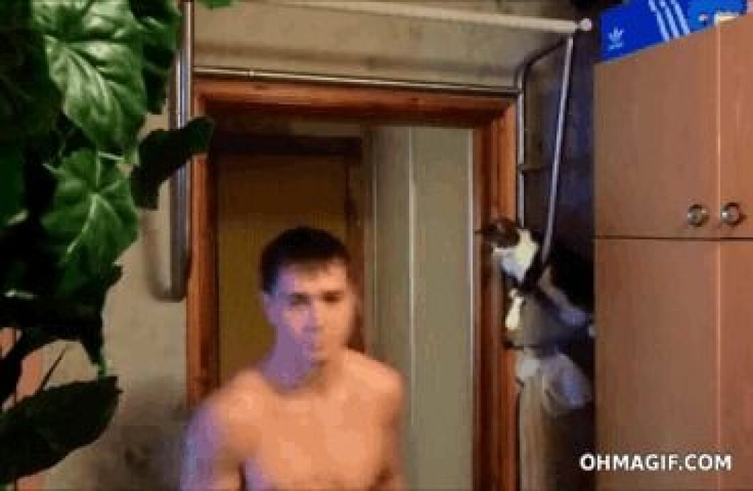 Via: <a href="http://giphy.com/gifs/cat-exercise-high-five-3HICMfLGqgWRy" target="_blank">giphy.com</a> Via: giphy.com
