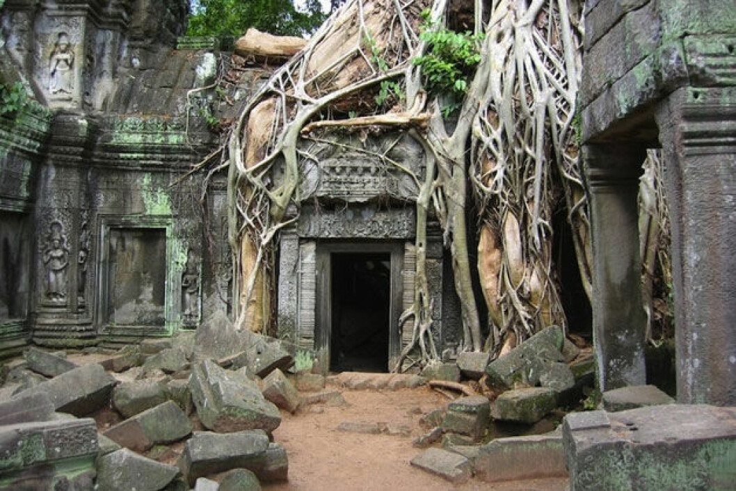 Källa: <a href="https://theglobalpanorama.com/hidden-beauty-in-the-rainforest-angkor-wat/" target="_blank">theglobalpanorama.com</a> 1