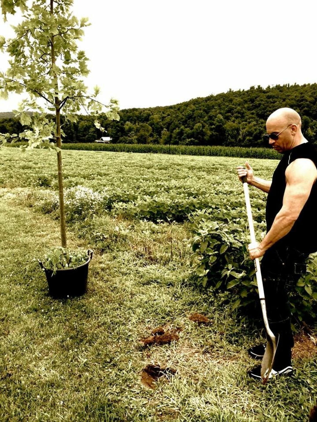 Foto: <a href="https://www.facebook.com/VinDiesel?fref=ts" target="_blank" rel="noopener">Vin Diesel/Facebook</a> 10609714_10152745064918313_6423353502521997178_n