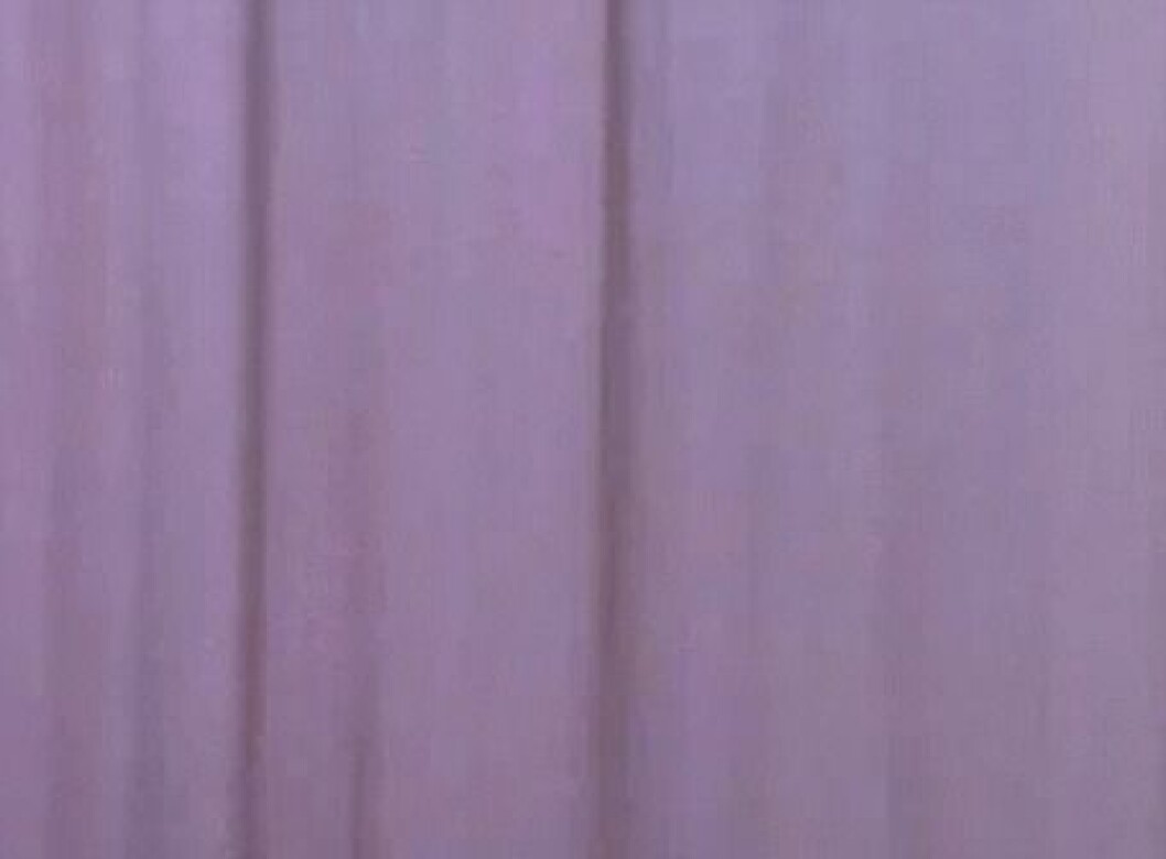 Via: <a href="http://giphy.com/gifs/chicken-kfc-baywatch-12Q72hQ4BT7mp2" target="_blank" rel="noopener">giphy.com</a> Via: giphy.com