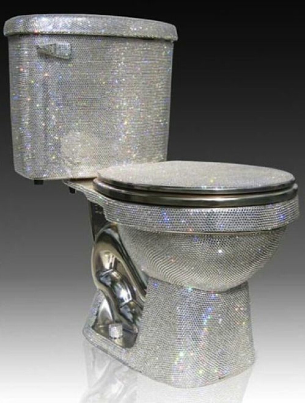 14-swarovky-covered-toilet