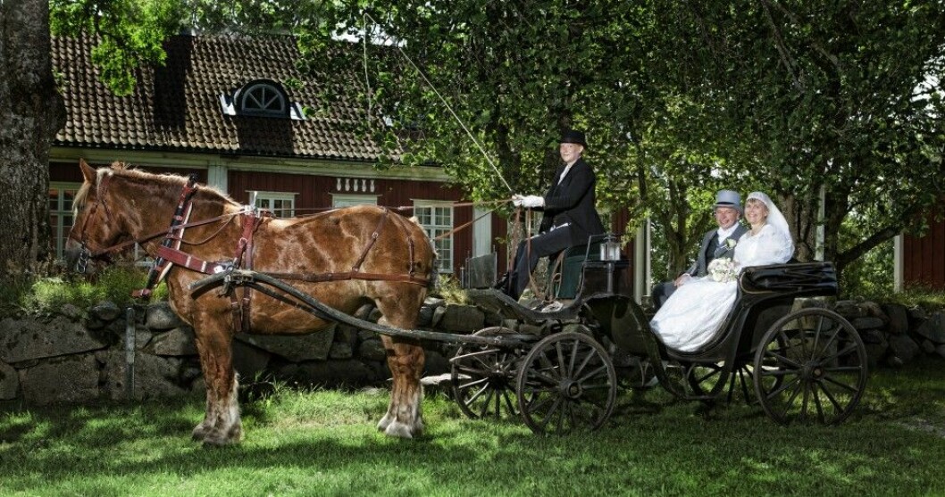 Foto: Gert Hognert 15037_peter_o_helene_420-Edit