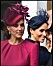 Meghan Markle och Kate Middleton med hatt