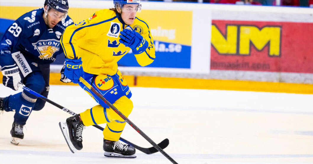 18-årige Leo Carlsson tar plats i VM-truppen. Supertalangen tar plats i Tre Kronors VM-trupp