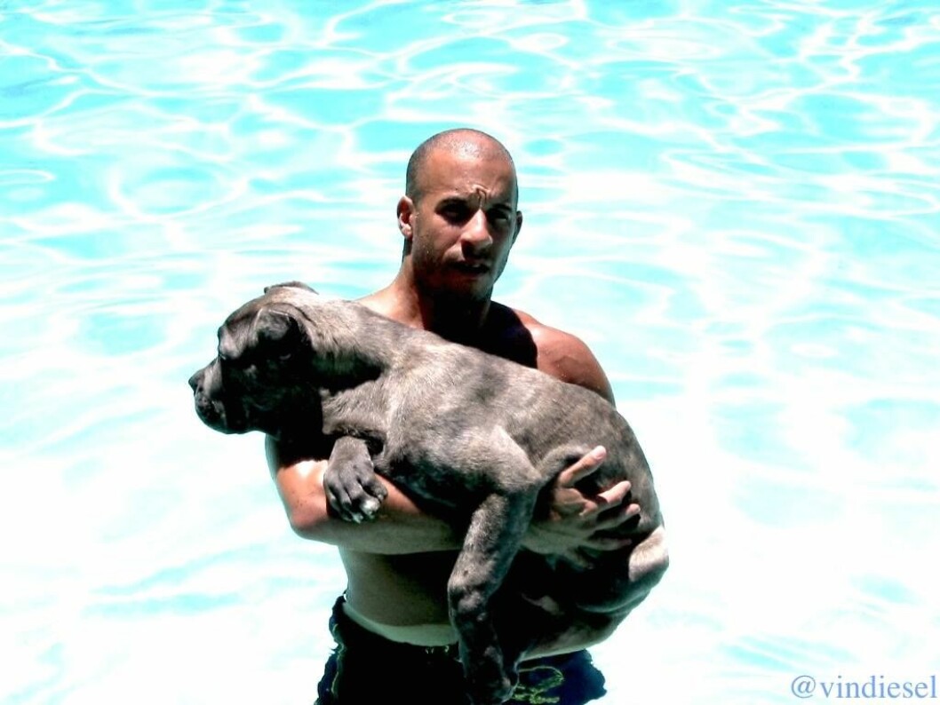 Foto: <a href="https://www.facebook.com/VinDiesel?fref=ts" target="_blank" rel="noopener">Vin Diesel/Facebook</a> 1979391_10152525827608313_4622660569764467882_o