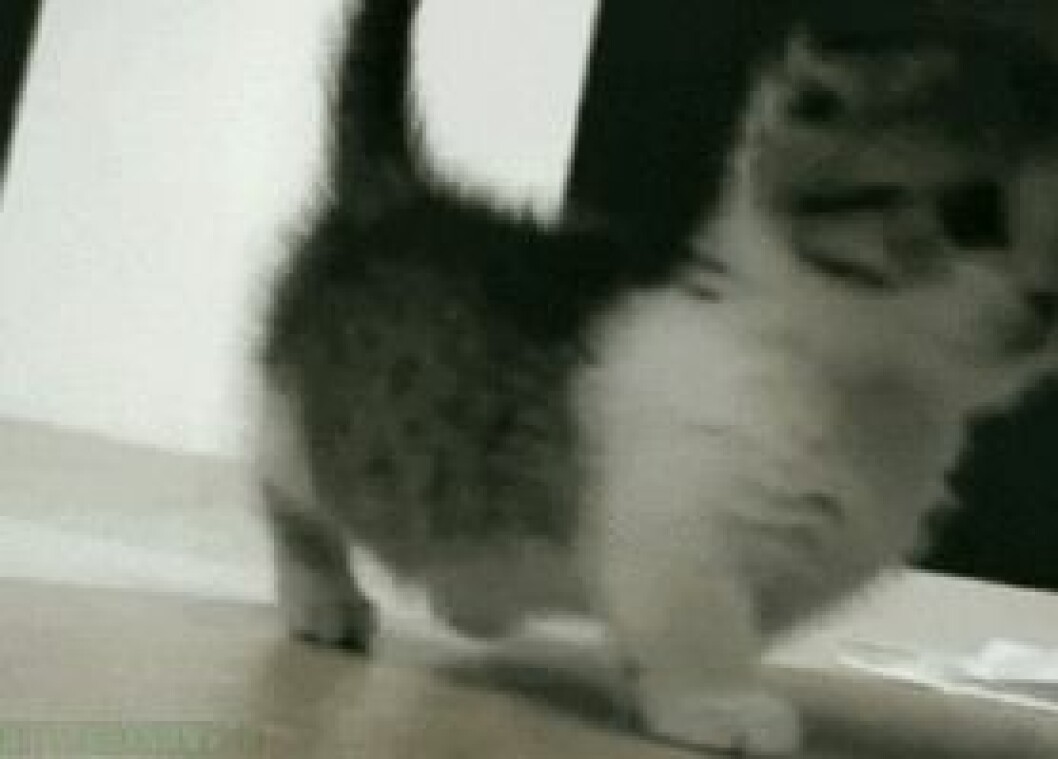 2000