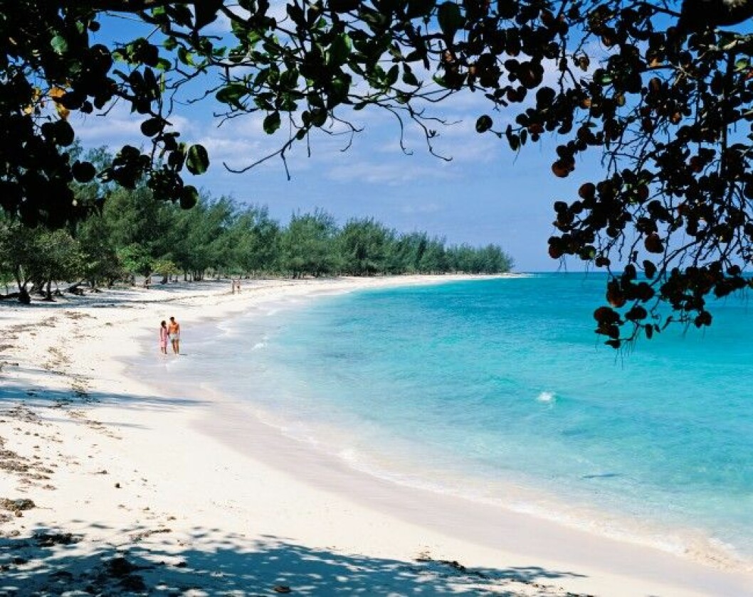 Pär Nilsson kan tänka sig bröllop på Bahamas. Foto: All Over Per Nilsson kan tänka sig bröllop på Bahamas. Foto: All Over