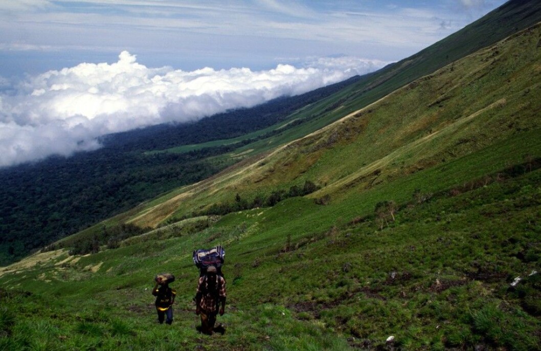 Vandrare på väg upp på Mt Cameroon. Foto: All Over Press Foto: All Over Press