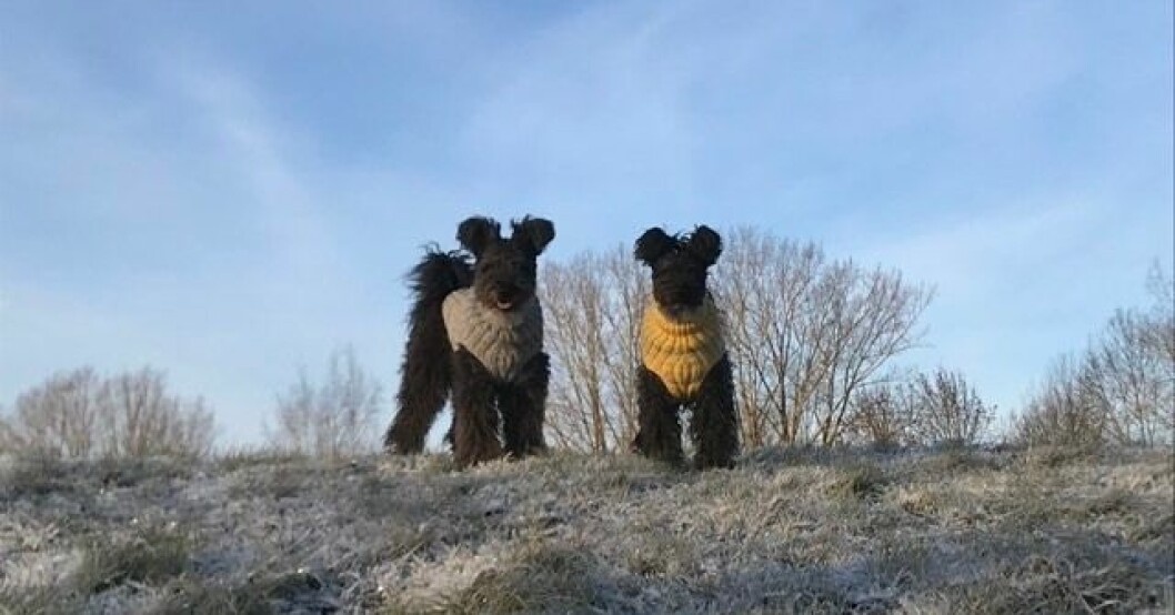 Lena Carlssons hundar Zoo och C.