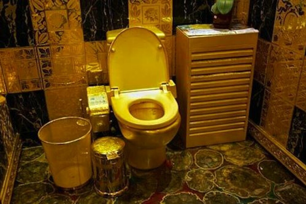 6-gold-toilet