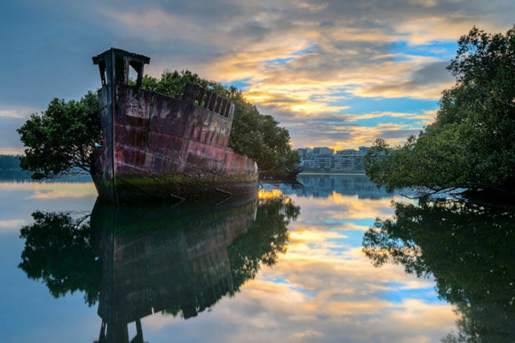 Källa: <a href="http://www.paradisepin.com/australias-fairy-tale-floating-forest/" target="_blank">paradisepin.com</a> 8