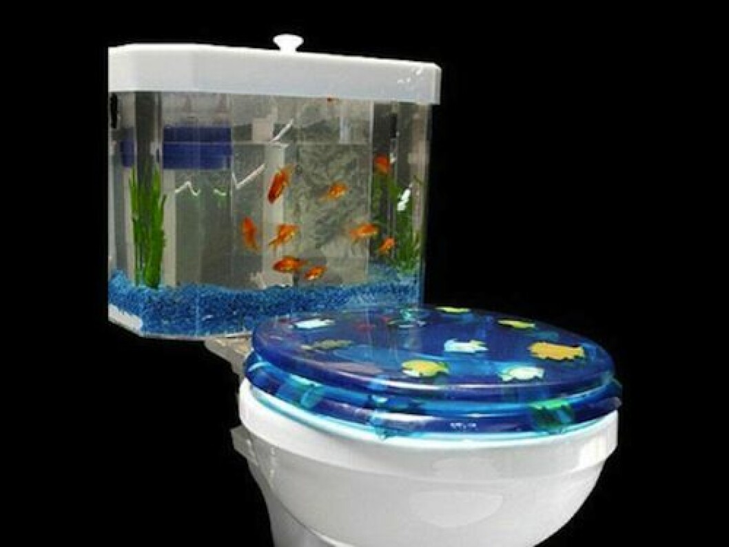 8-fishbowl-aquarium-toilet