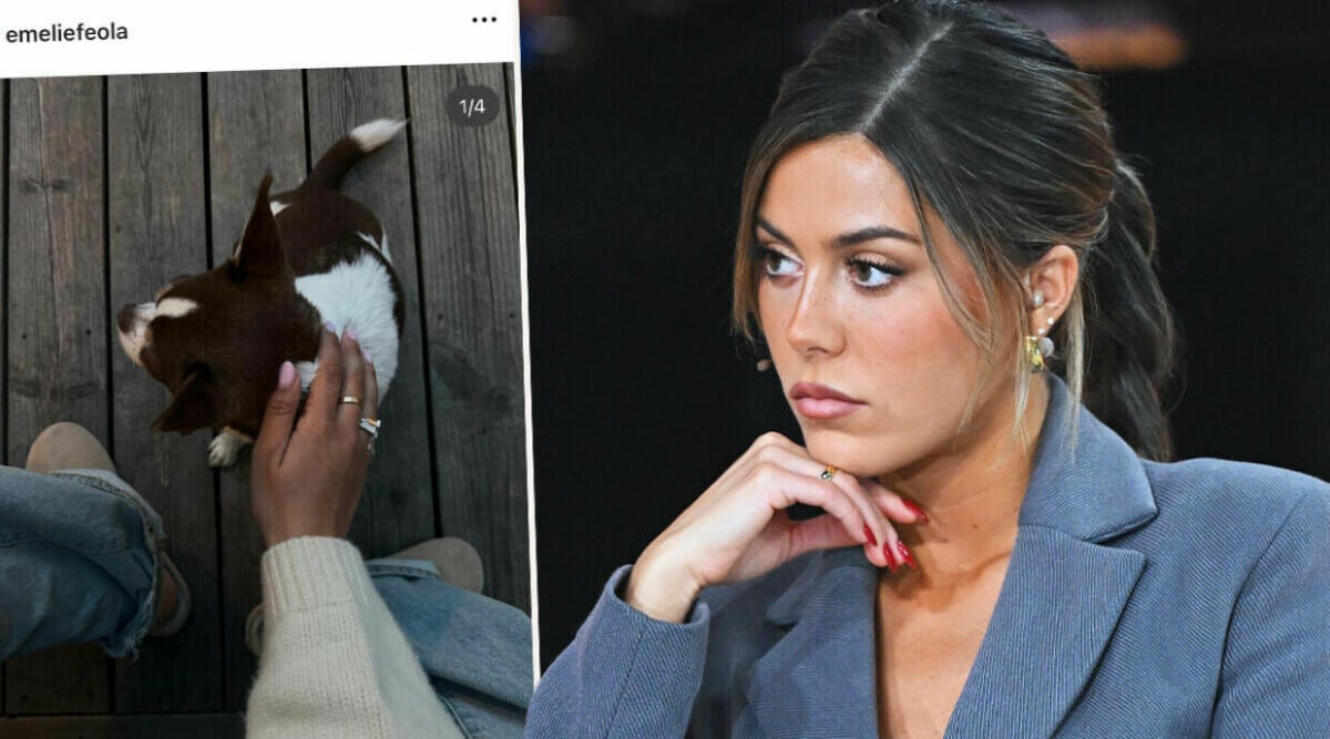 Bianca Ingrosso lämnar bort sina hundar Dino och Sammy – så mår de