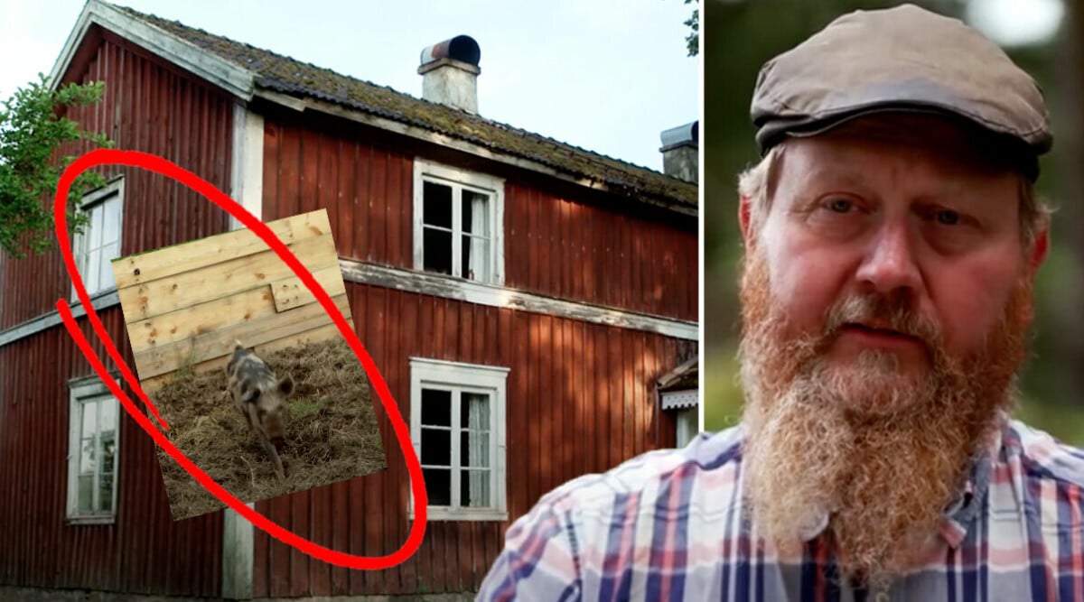 Fusket i Farmen avslöjat – deltagarna får hjälp av hantverkare