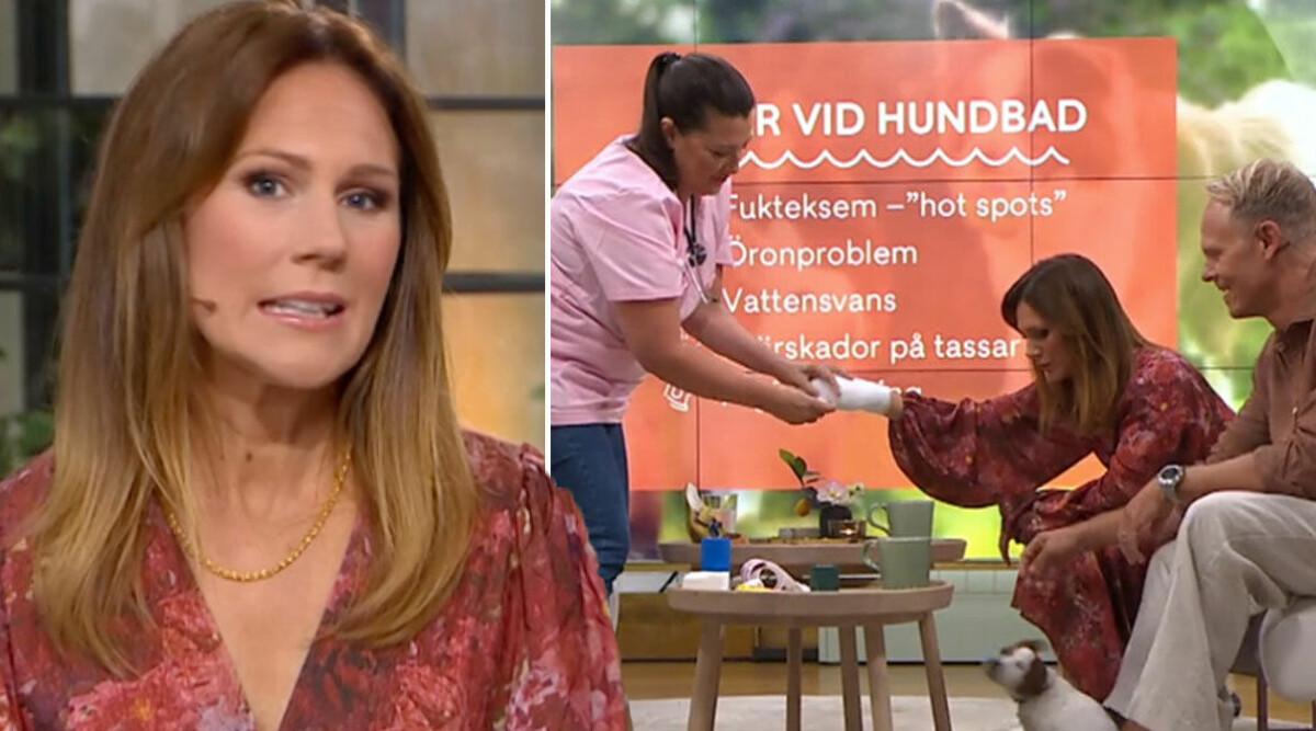 Kaoset i Nyhetsmorgon – här försvinner gästen plötsligt från studion