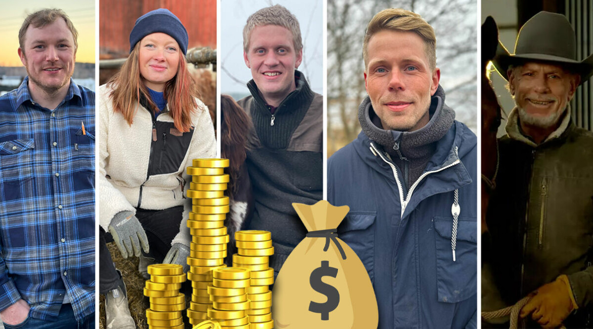 Så mycket tjänar bönderna i Bonde söker fru 2024 – se allas löner