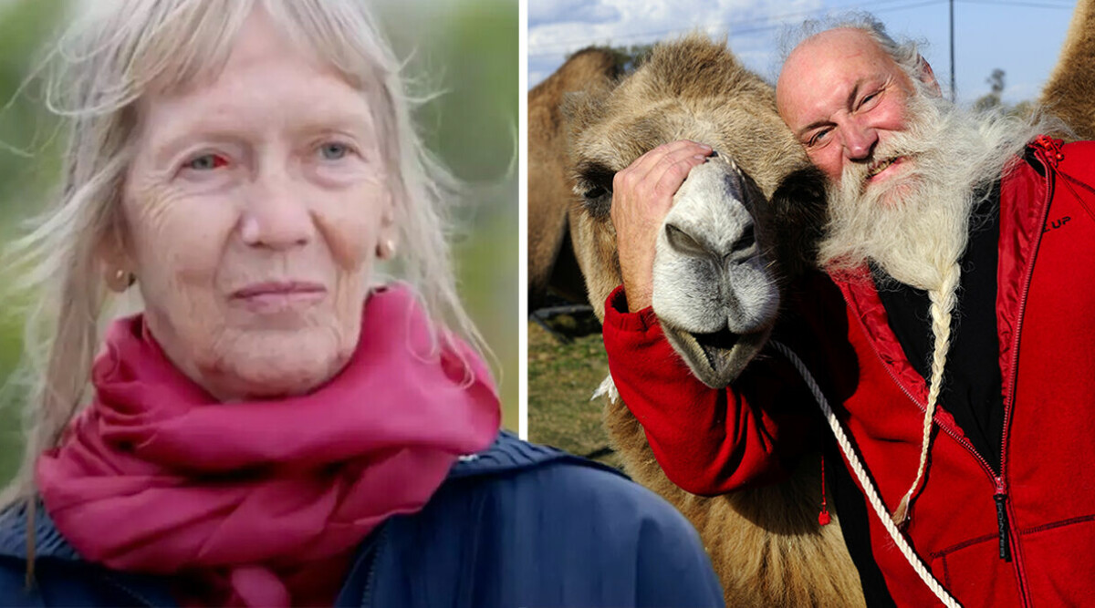 Därför träffas inte kamelbonden Bengt Erlingsson och Carina: ”Inte lätt”