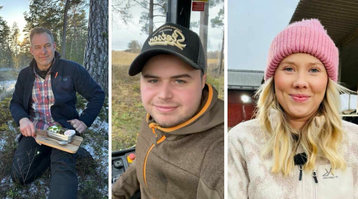 Här är alla bönder i Bonde söker fru 2025