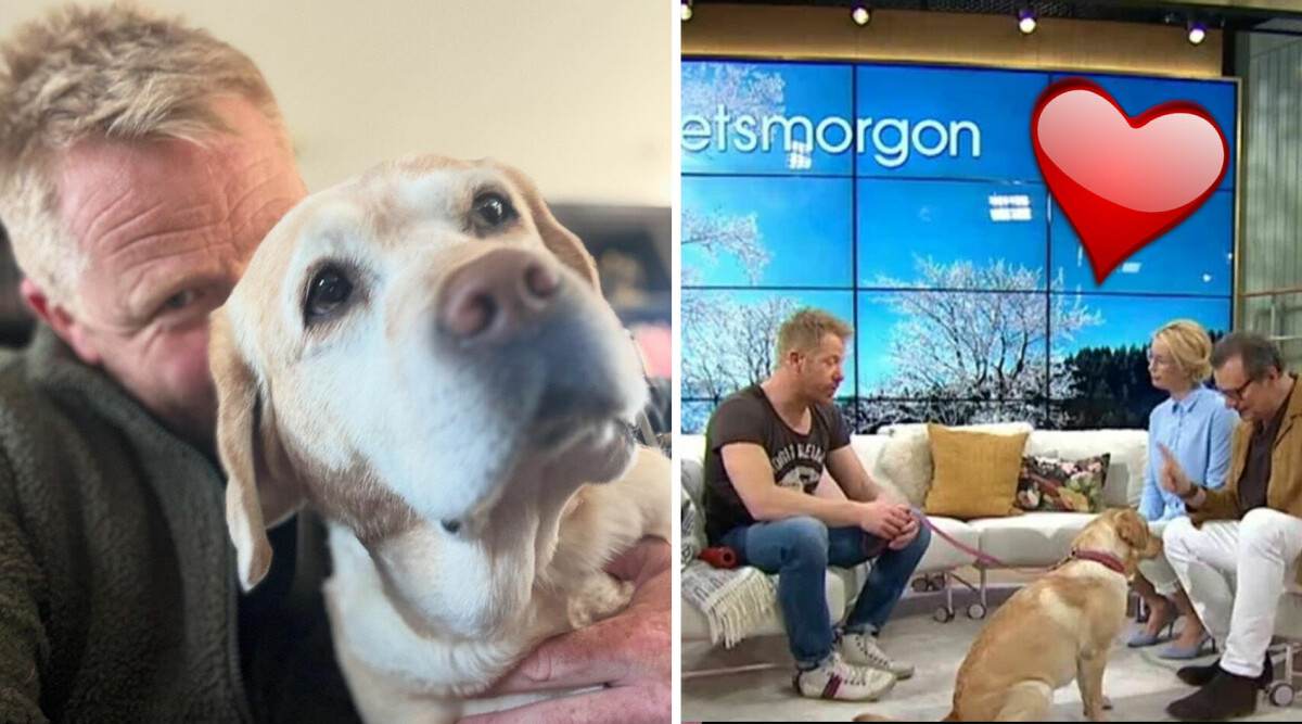 TV4-profilen om stödet efter Lilla Nymos försämrade hälsa – så tar de tillvara på sista tiden