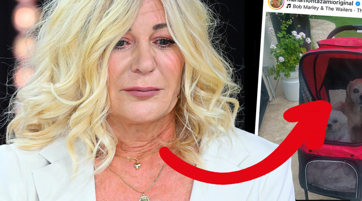 Maria Montazami livrädd – håller hundarna instängda i barnvagn: "Hjälp"
