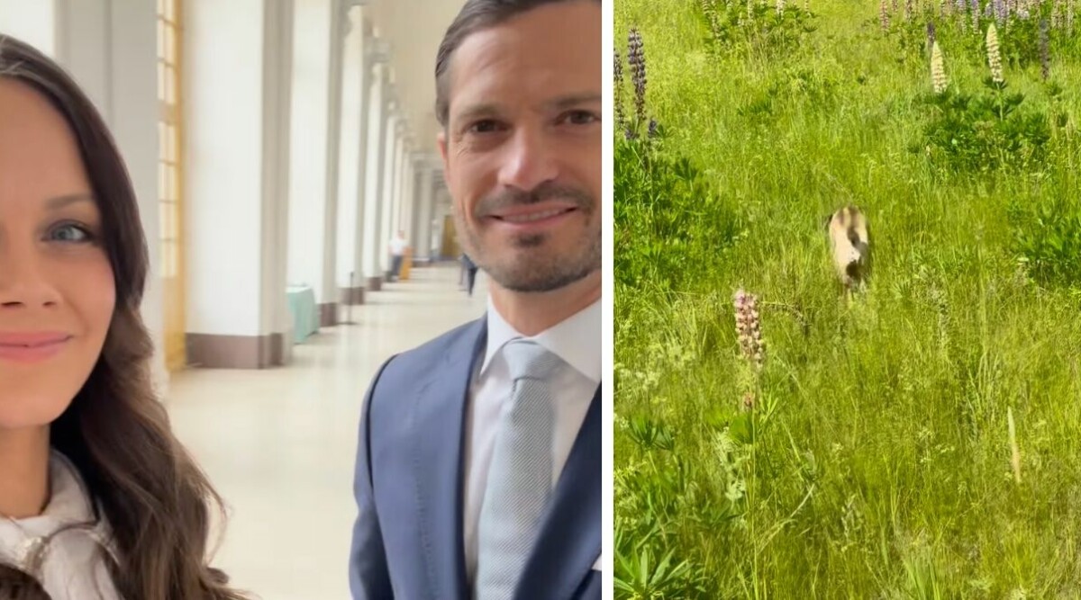 Carl Philip och Sofias mystiska video – detaljerna som inte får komma ut