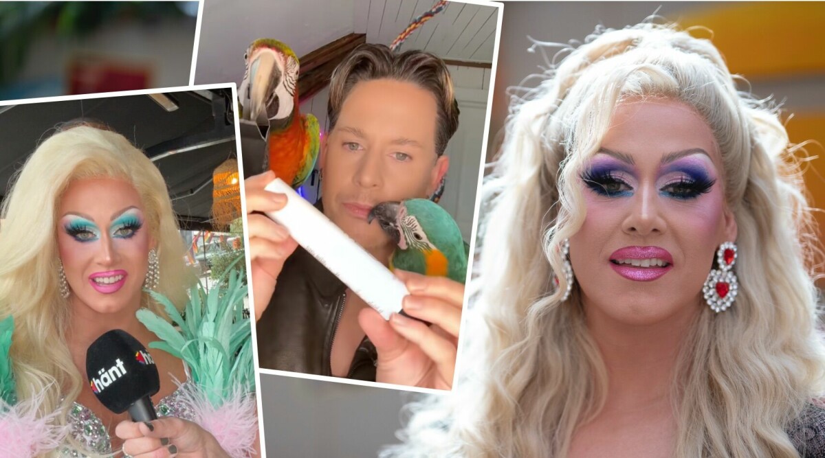 Unna daj! Elecktra firar 20 år som artist – men känner sig inte som en: ”Jag låtsas ju bara”