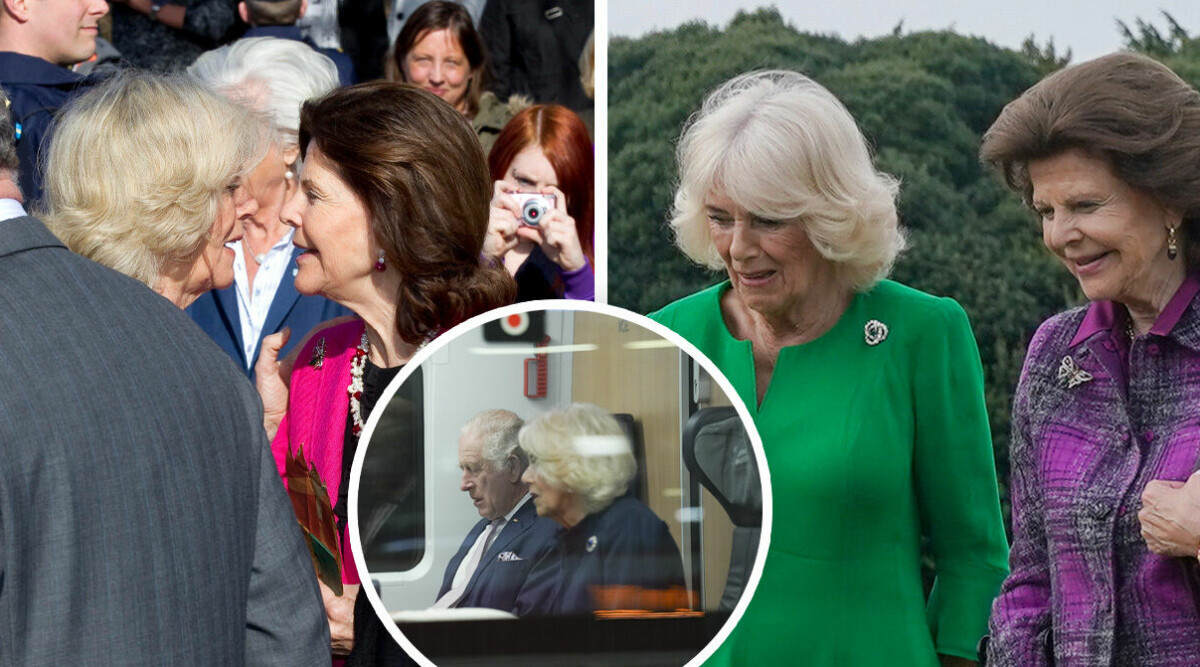 Drottningen antastad på tåget: ”Handen kom närmare och närmare...”