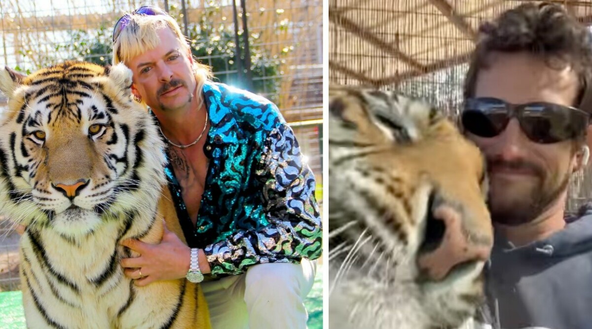 Skötte Tiger King‑tigrarna – bets ihjäl inför ögonen på åskådare