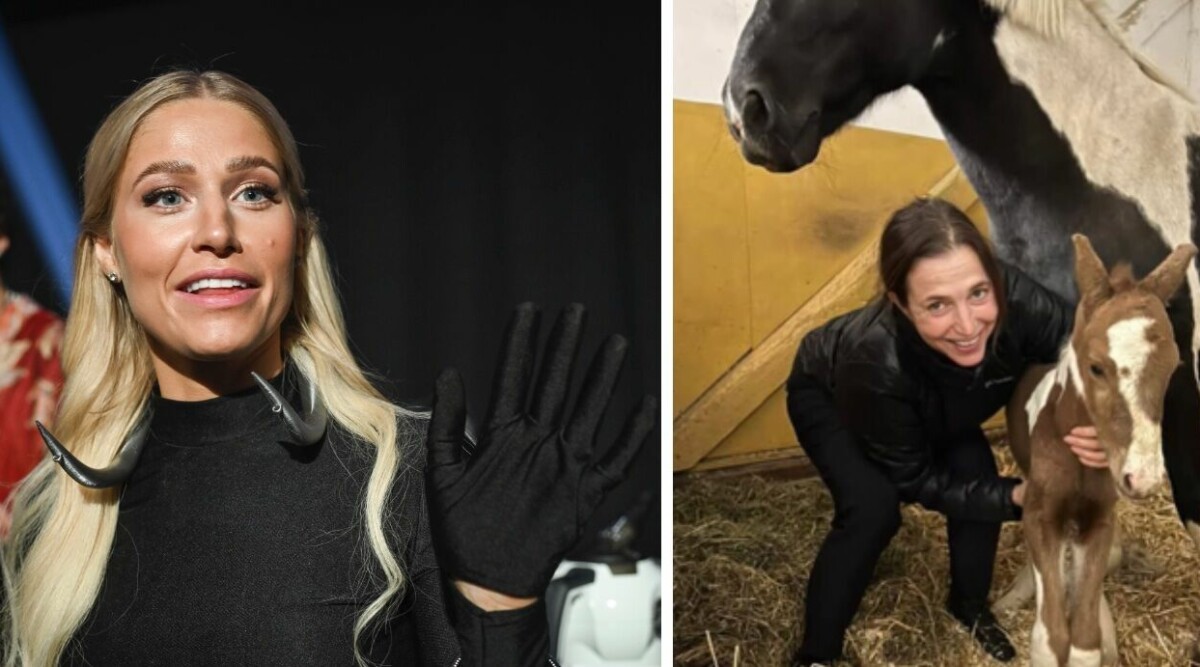 Klara Hammarströms 9-åriga lillasyster har släppt låt – sägs vara sexuell: ”Om du kommer hit inatt..”