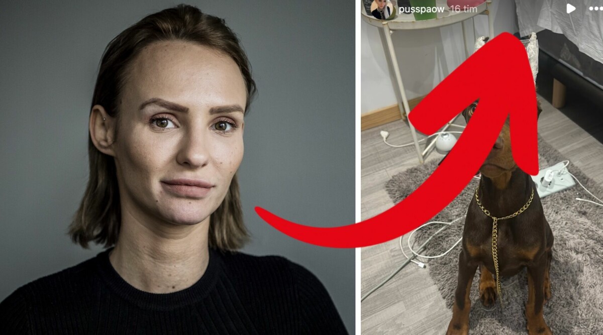 Paulina ”Paow” Danielsson i blåsväder – efter ingreppet på hunden • Egna orden om ilskan!