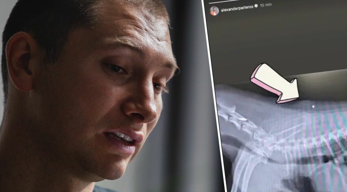 TV4-profilens hund skjuten – stora oron: ”Försökt döda henne”