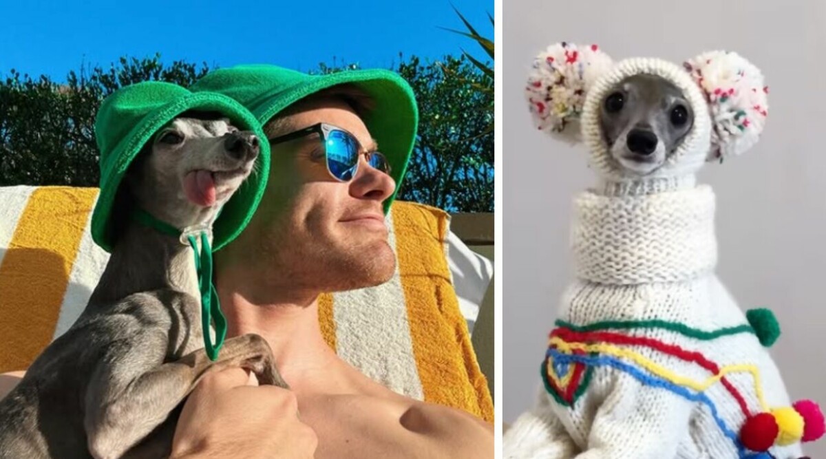 Världskända hunden Tika the Iggy död – sörjs av miljontals följare