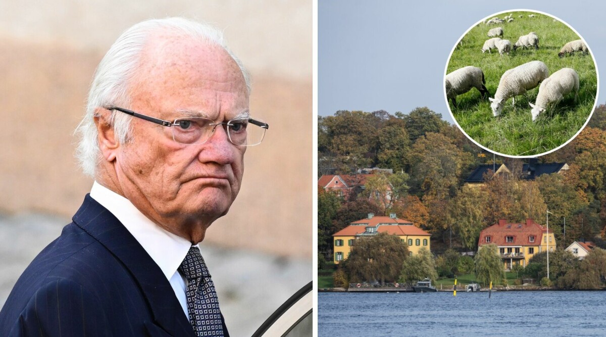 Här synas kungens stora bluff: ”De är inlånade”
