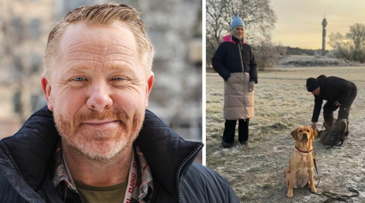 TV4-profilen Fredrik Steen attackerad av man – mitt under Nyhetsmorgons sändning