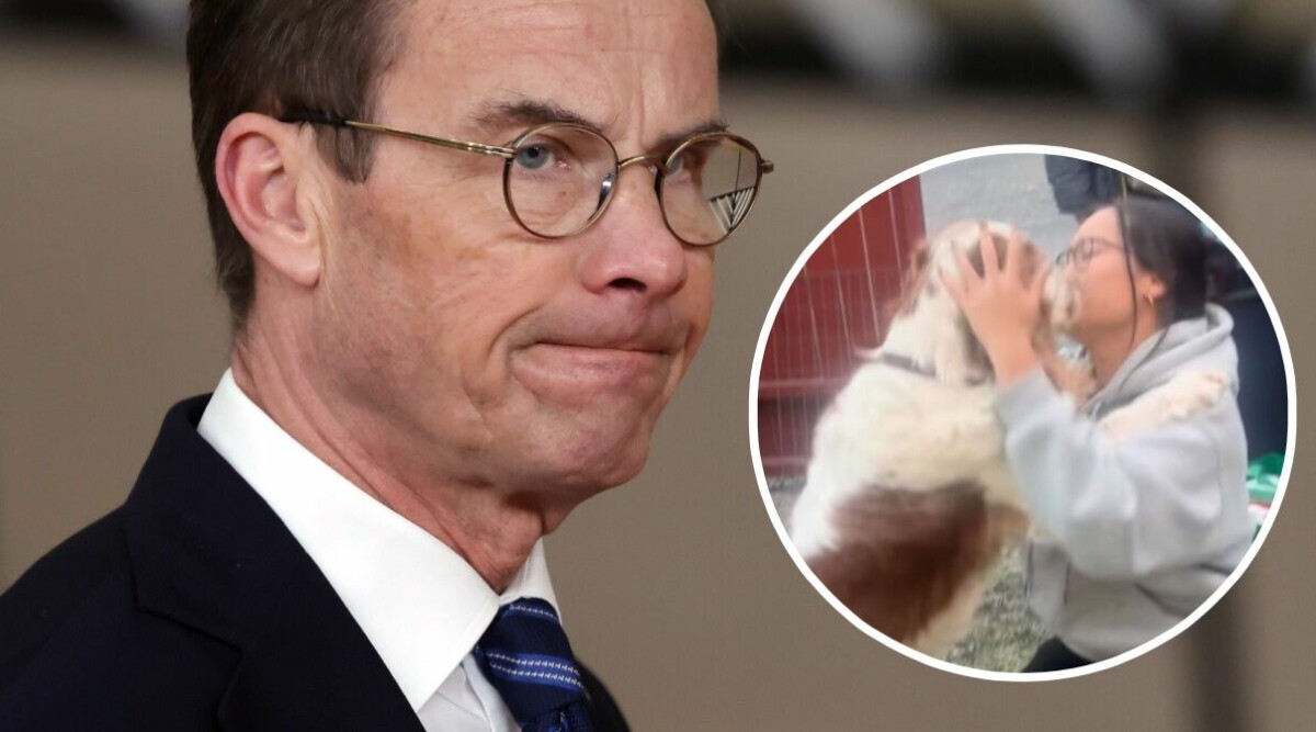 Därför reagerar alla på Ulf Kristerssons privata klipp på dottern Ellen – starka reaktionerna!