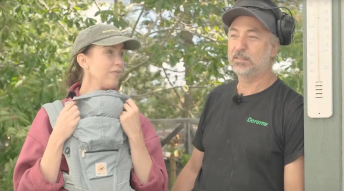 Polisen inkopplad • Nya detaljer om Sofia och Tareq Taylors drama: ”Åt helvete”