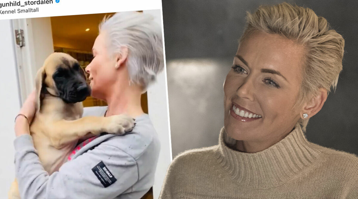 Gunhild Stordalens nya glädjebesked – skaffar hunden Monty