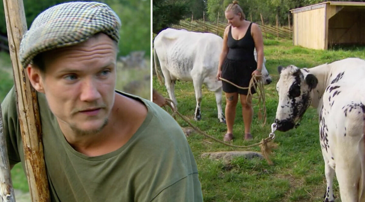 Det händer med djuren i Farmen och Torpet när säsongen är slut