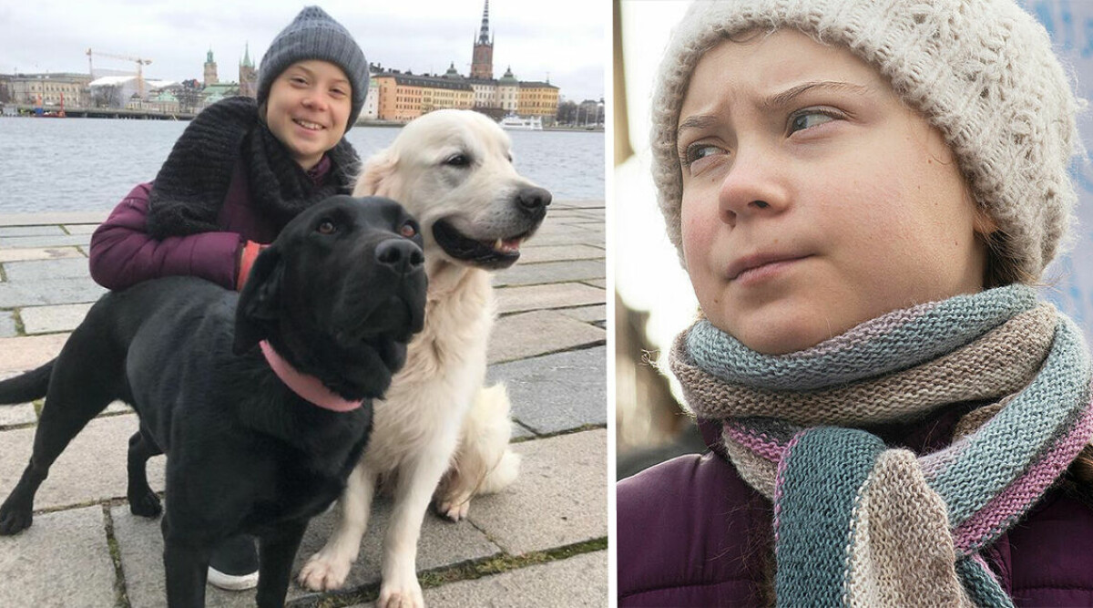 Så bor klimataktivisten Greta Thunberg i Stockholm