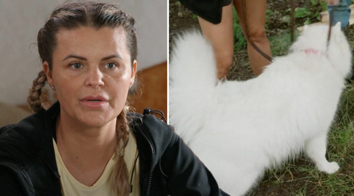 Monika Ostrowskas tårar i Farmen får tittarna att se rött: ”Lägg ner”