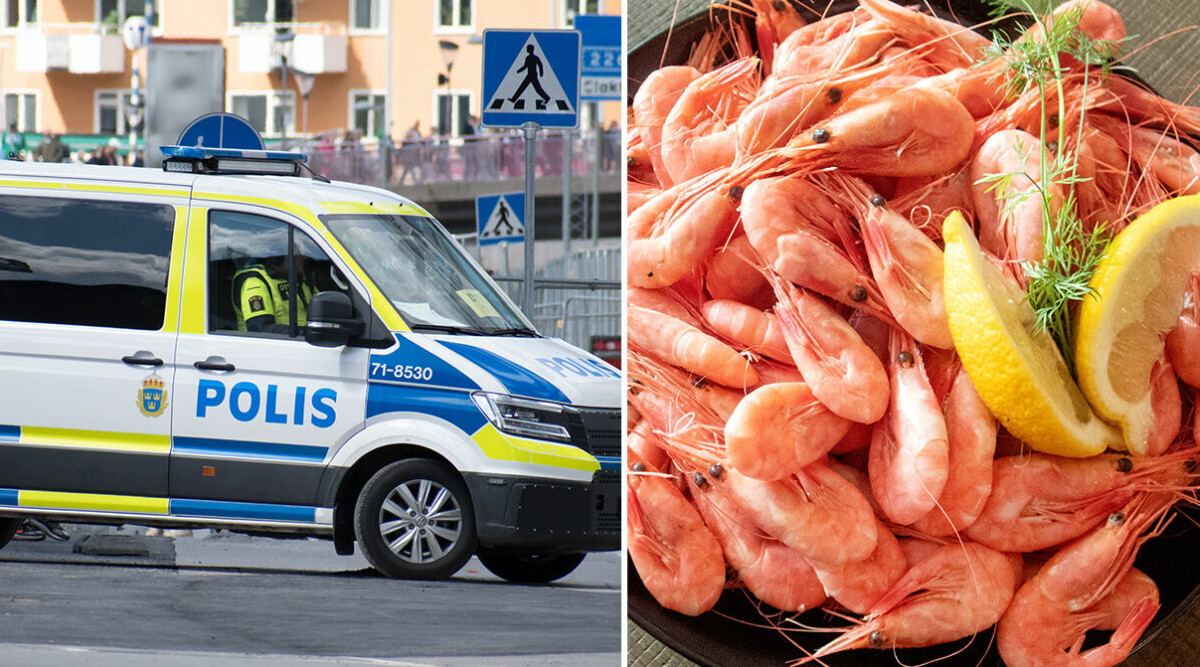 Känd svensk skådespelare åtalas för räkstöld – tagen på bar gärning på ICA
