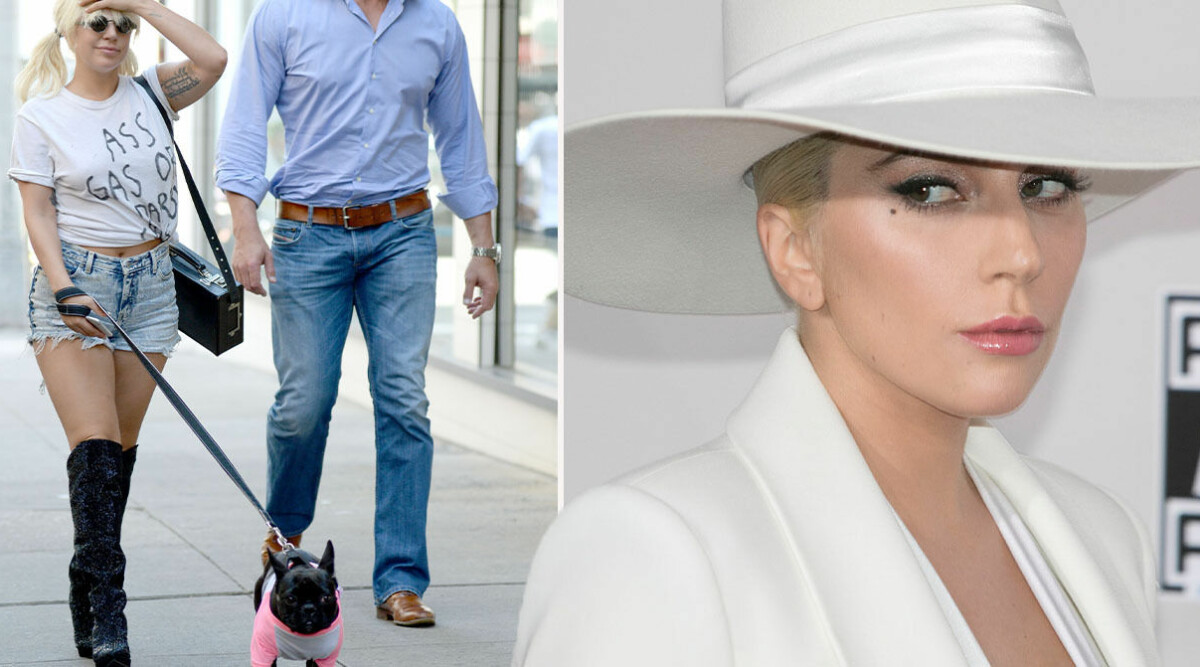 Lady Gagas hundvakt skjuten – 5000 dollar utlovas för information om gärningsmannen