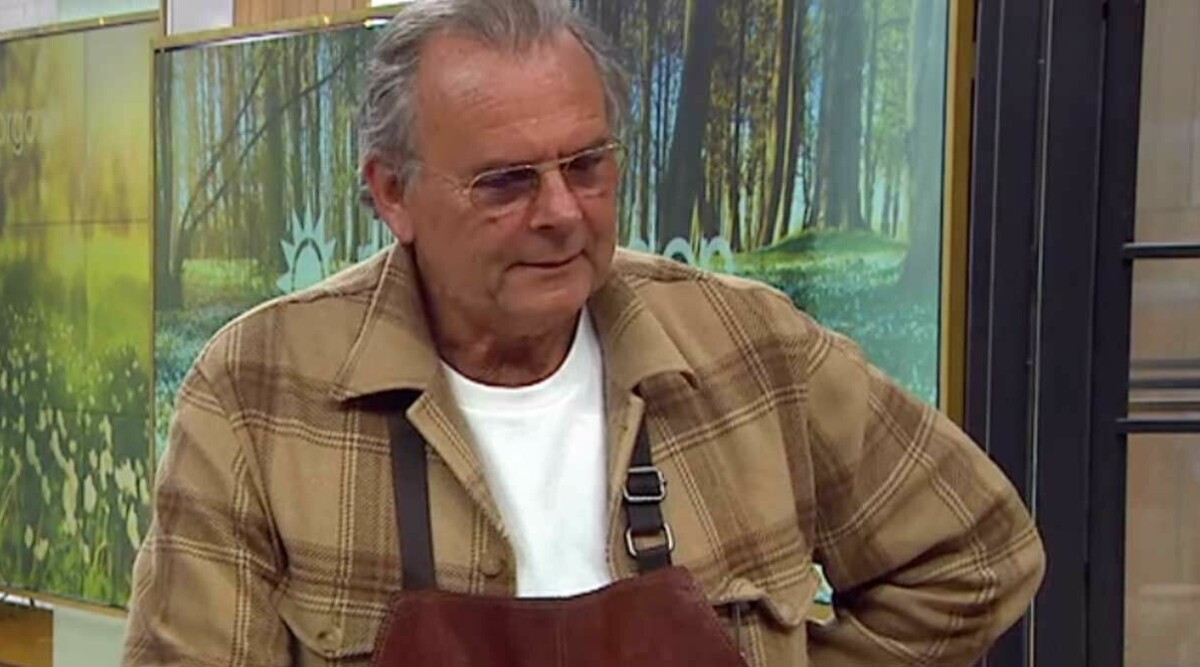 Steffo Törnquists tunga sjukdomsbesked – avslöjandet i kulisserna