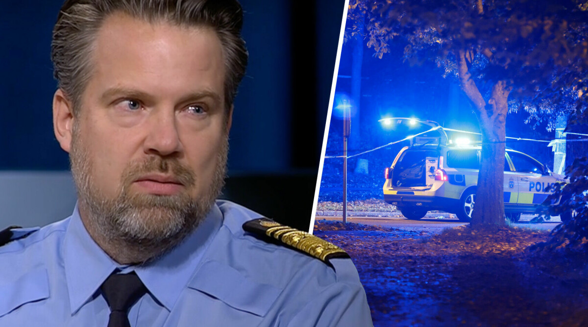 Rikspolischefen: Därför har Sverige flest dödsskjutningar – i Europa