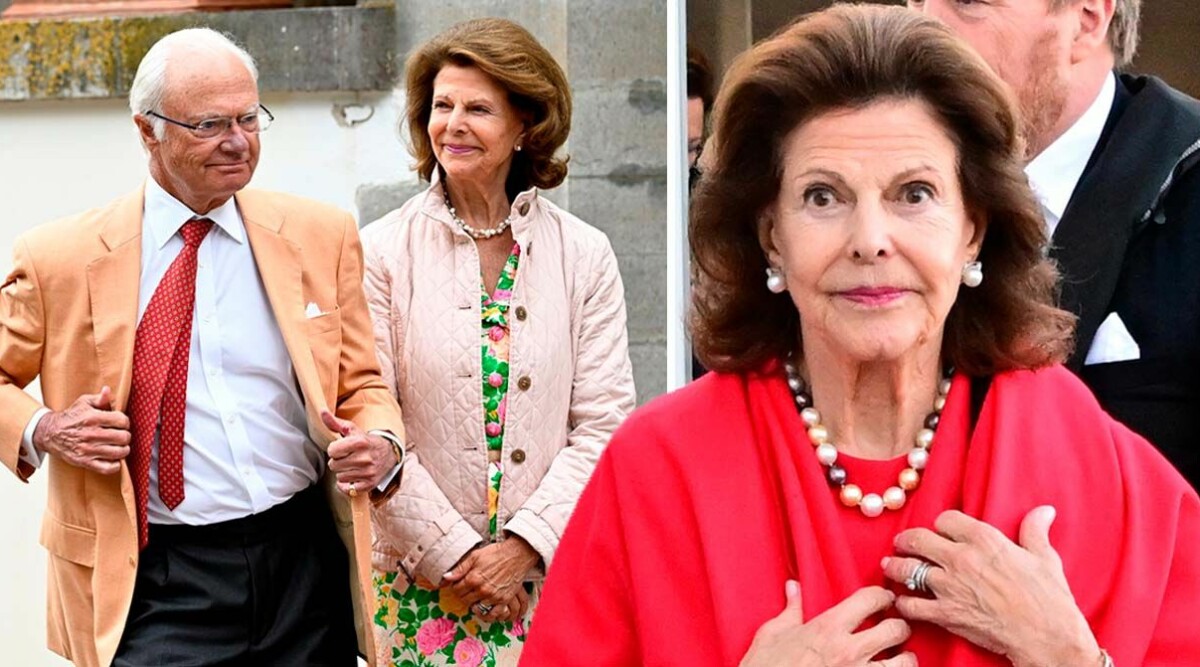 Drottning Silvias okända intresse – privata avslöjandet bekräftat