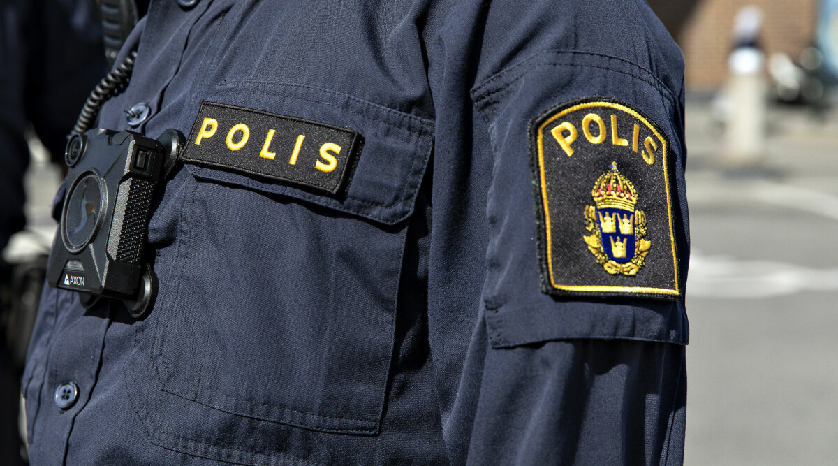 Polisen varnar – efter 60 viltolyckor i samma område