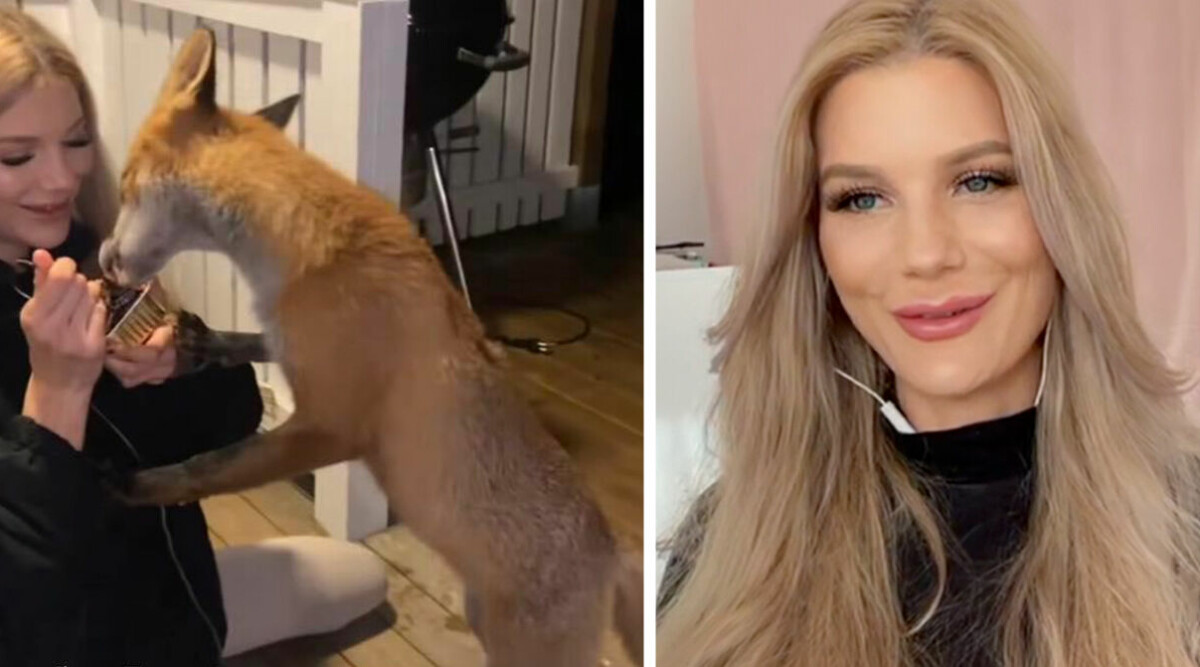 Josefine Foxman är bästa kompis med räven Fox: ”Känns som meningen”