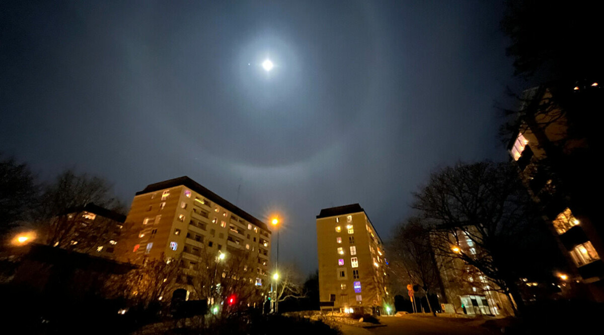 Ovanliga ljusfenomenet syntes på himlen under natten: ”Julfint”